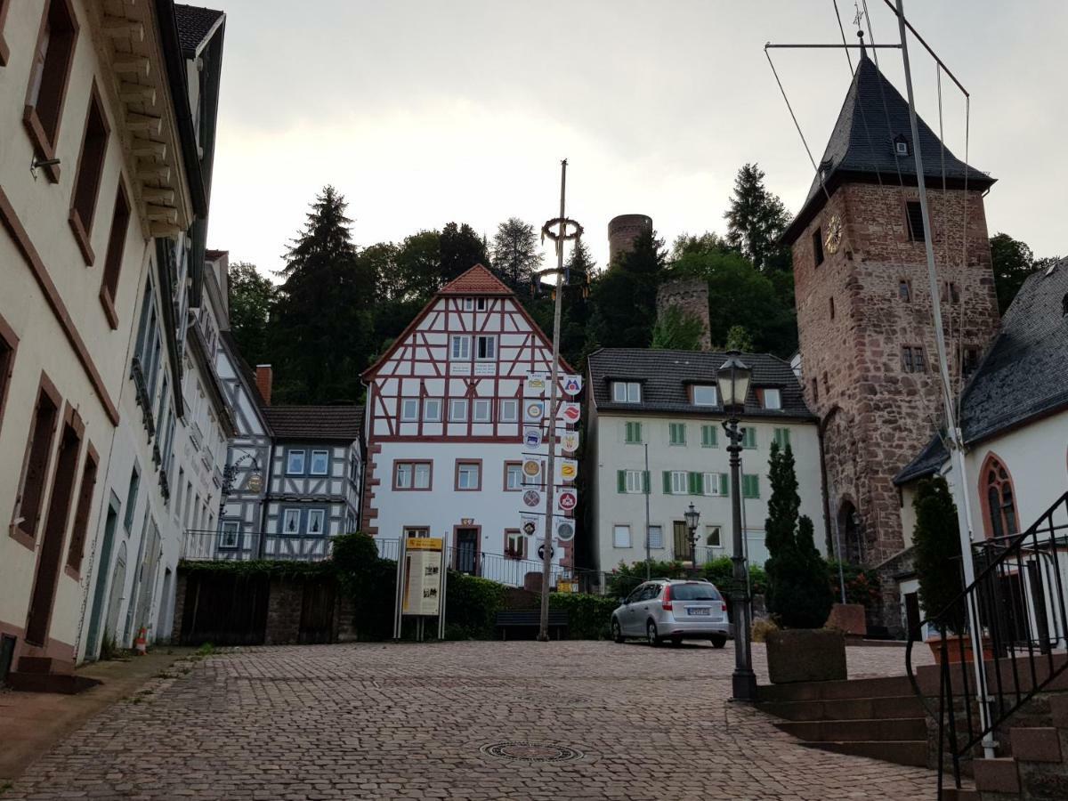 Zauberhafte Wohnung In Der Naehe Von Heidelberg, Top Lage Hirschhorn Exterior photo