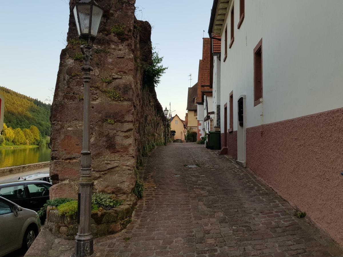 Zauberhafte Wohnung In Der Naehe Von Heidelberg, Top Lage Hirschhorn Exterior photo