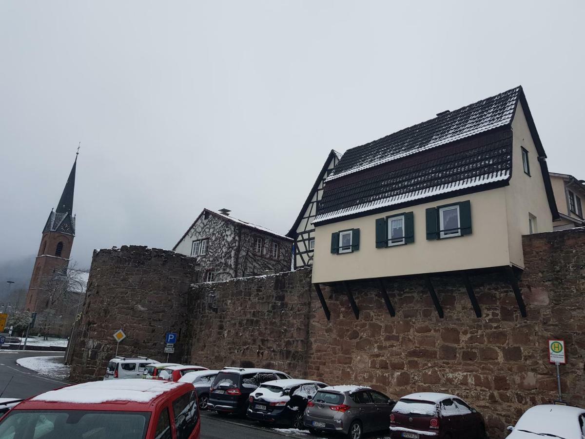 Zauberhafte Wohnung In Der Naehe Von Heidelberg, Top Lage Hirschhorn Exterior photo