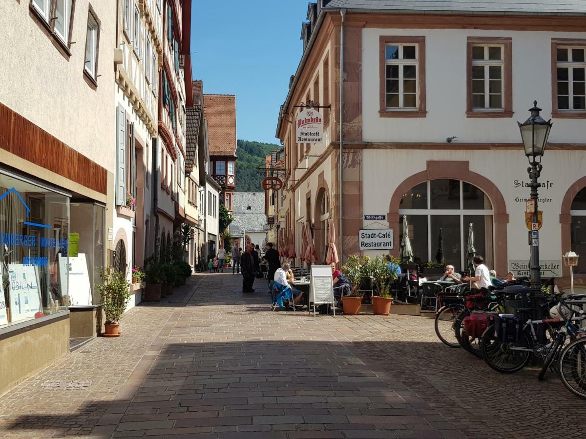 Zauberhafte Wohnung In Der Naehe Von Heidelberg, Top Lage Hirschhorn Exterior photo