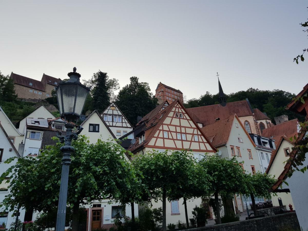 Zauberhafte Wohnung In Der Naehe Von Heidelberg, Top Lage Hirschhorn Exterior photo