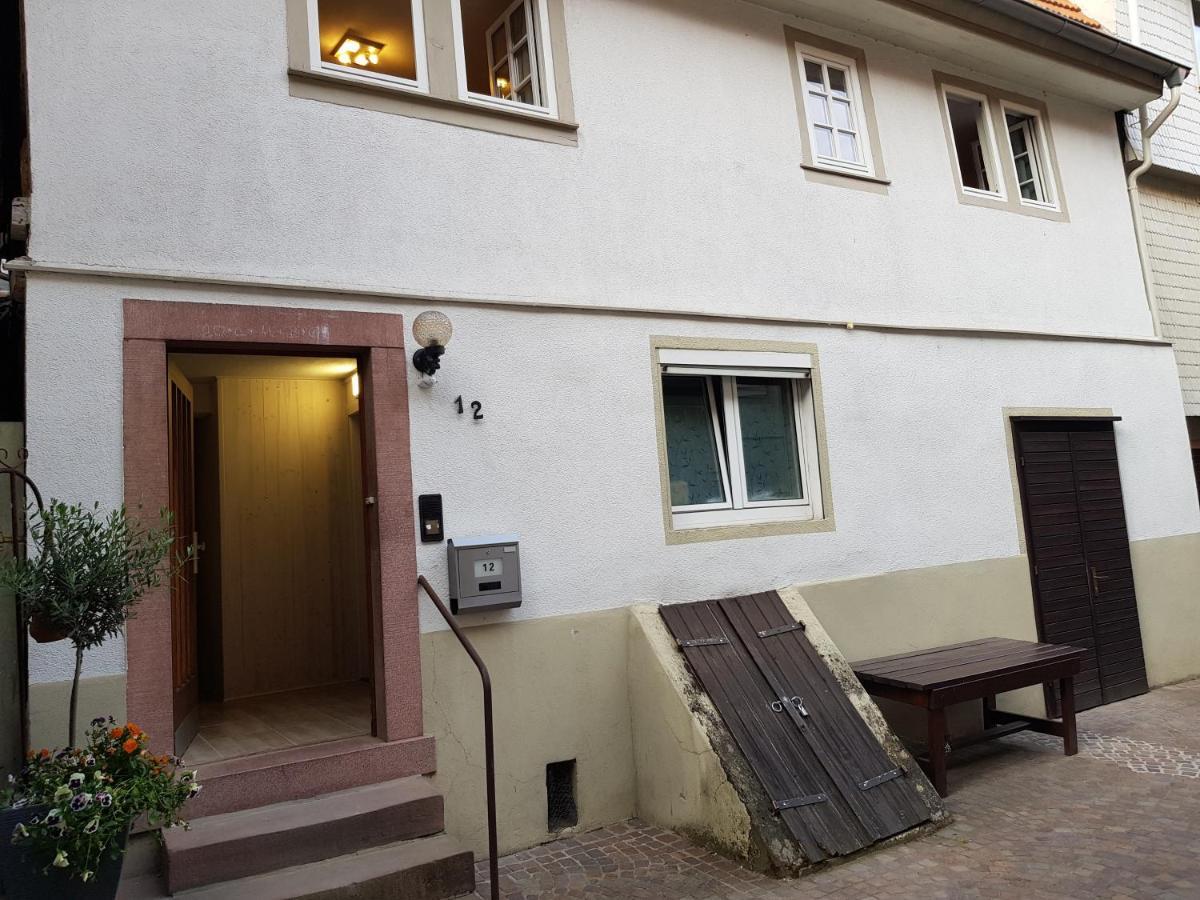 Zauberhafte Wohnung In Der Naehe Von Heidelberg, Top Lage Hirschhorn Exterior photo