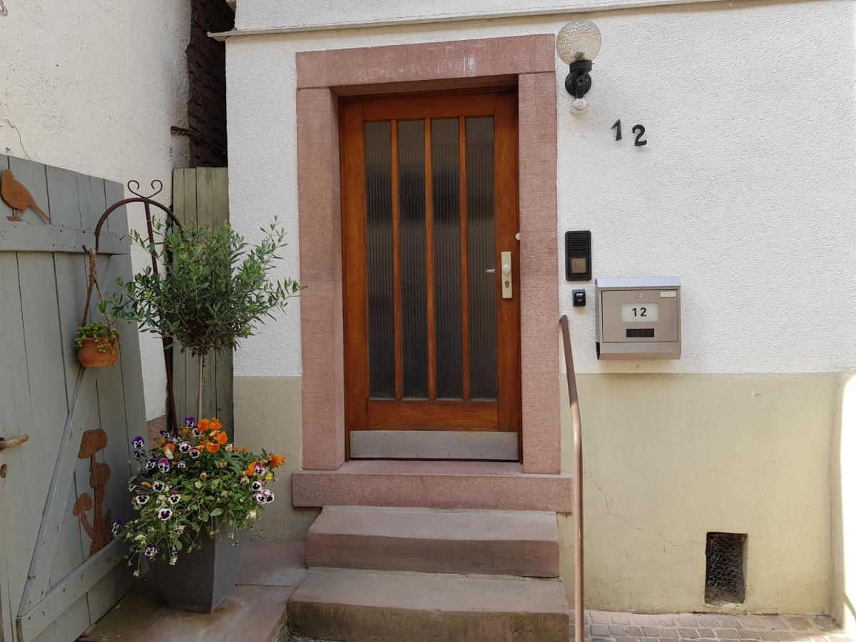 Zauberhafte Wohnung In Der Naehe Von Heidelberg, Top Lage Hirschhorn Exterior photo